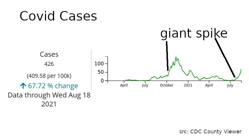 A chart showing the spike in COVID cases in 2020 and the beginning of the spike from late-july 2021.